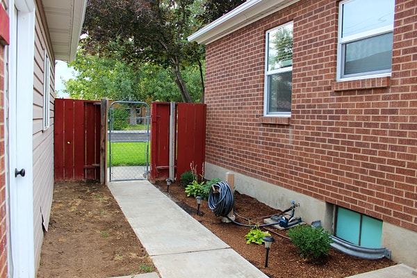 Backyard Plants