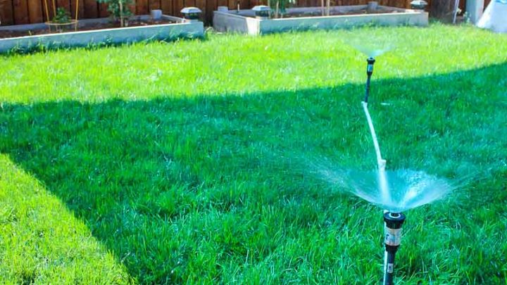 Right Way To Lay Pipe Water Sprinkler How Irrigation Lines Work