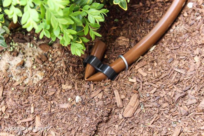 end of drip irrigation system