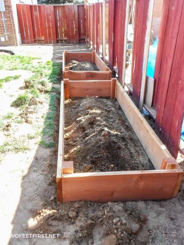 placing raised garden boxes in yard