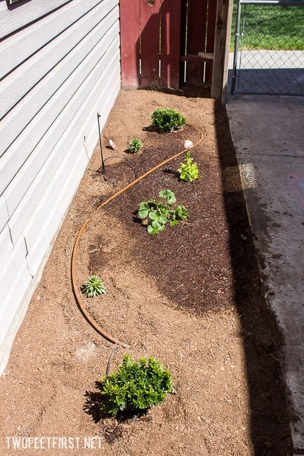 extending-drip-system